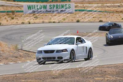 media/Oct-25-2025-West Coast Racing (Sat) [[9fdcbcd09c]]/Green group/Turn 3/